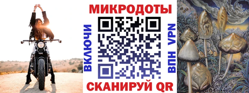 Галлюциногенные грибы GOLDEN TEACHER  площадка клад  Торопец  купить закладку 